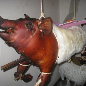 Wollmilchsau Wollmilchsau